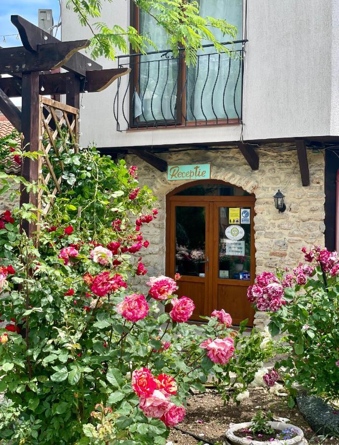 ヴァマ・ヴェケ Vamabel House Bed & Breakfast エクステリア 写真